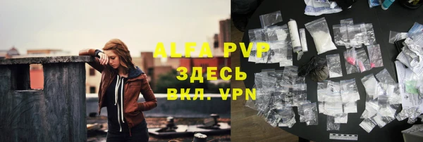 прущие грибы Абаза