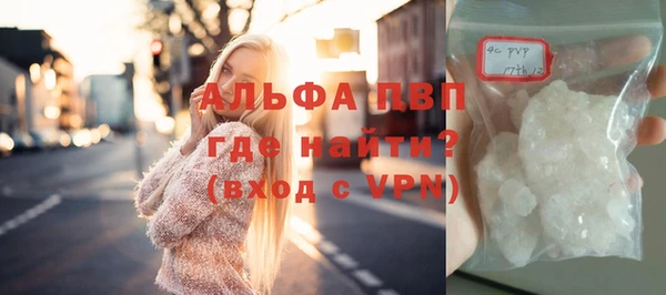прущие грибы Абаза