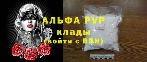 прущие грибы Абаза