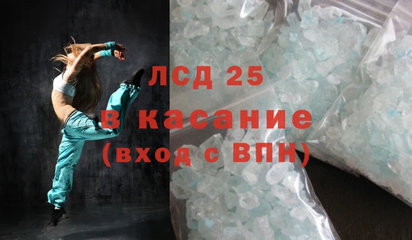 прущие грибы Абаза