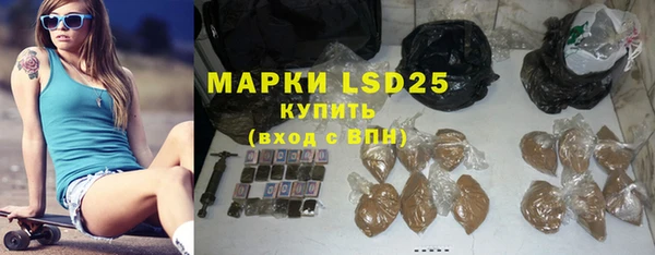 прущие грибы Абаза